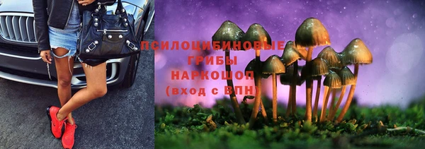 PSILOCYBIN Дмитриев